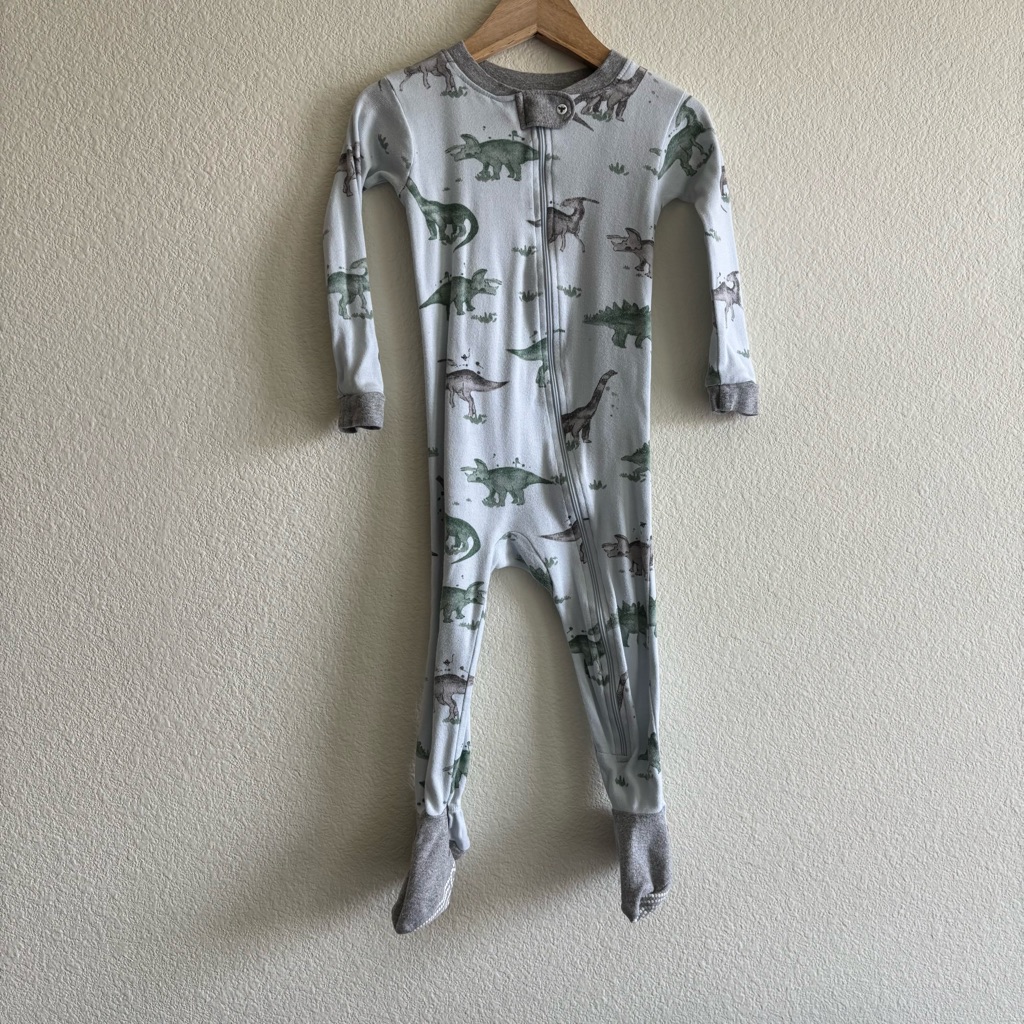 Burt's Bees Dinosaur Footie Pajamas 18m